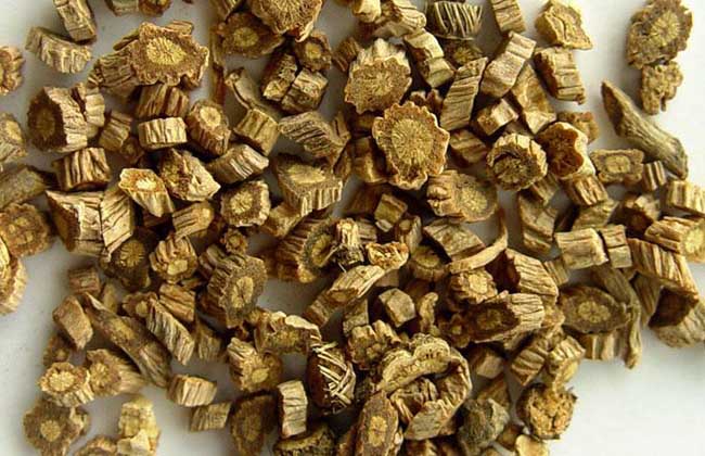 中药防风是什么样子的图片,中药防风是什么