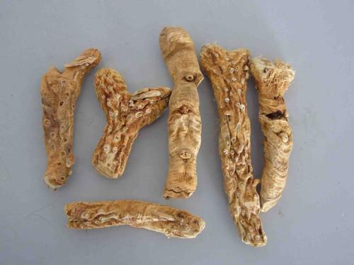 知母的功效有哪些,知母的功效有哪些叶子长什么样