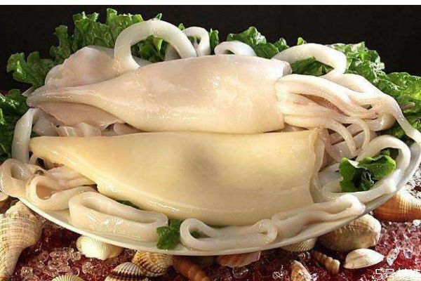 吃墨鱼的好处,常吃墨鱼有什么好处