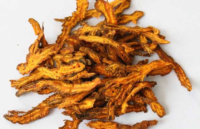 黄连是什么颜色,黄连哪个品种最好 黄连是什么颜色,黄连哪个品种最好