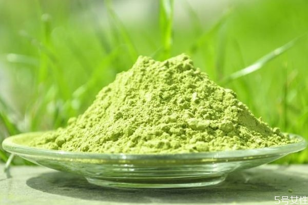 抹茶是一种什么茶,抹茶属于什么茶 抹茶是一种什么茶,抹茶属于什么茶