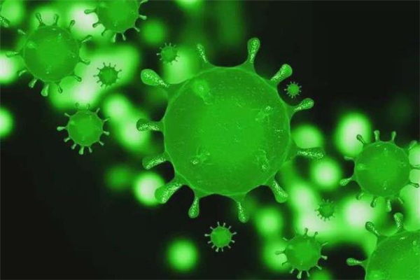 hpv病毒在衣物上能存活多久,水痘病毒在衣物上能存活多久 hpv病毒在衣物上能存活多久,水痘病毒在衣物上能存活多久