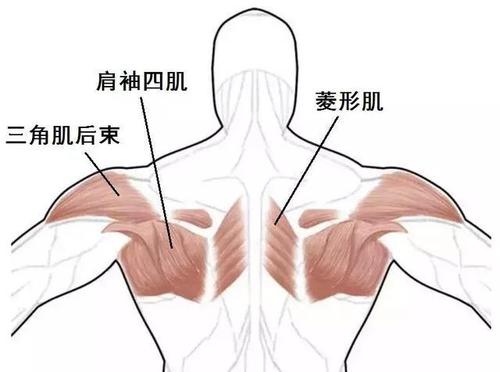 肌肉拉伤能否按摩,拉伤肌肉可以按摩吗