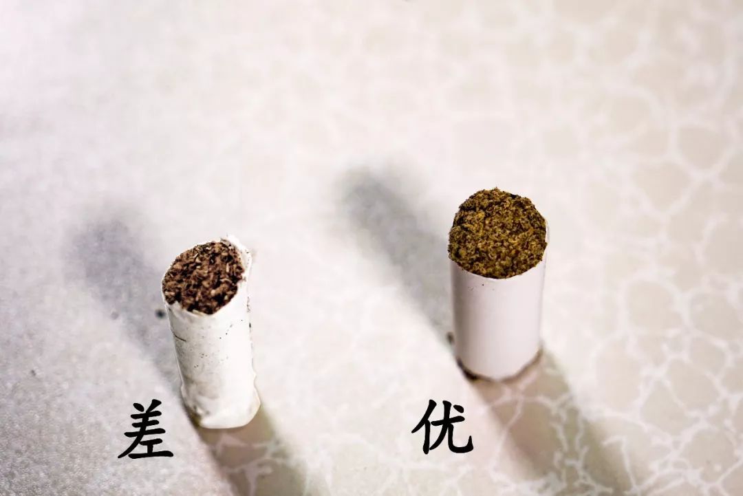 艾条的烟对身体有害吗?,艾条的烟对人身体有害吗