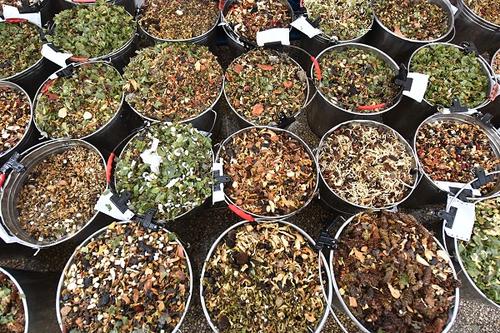 草药晒干会影响疗效吗,药材晒干会影响药效吗