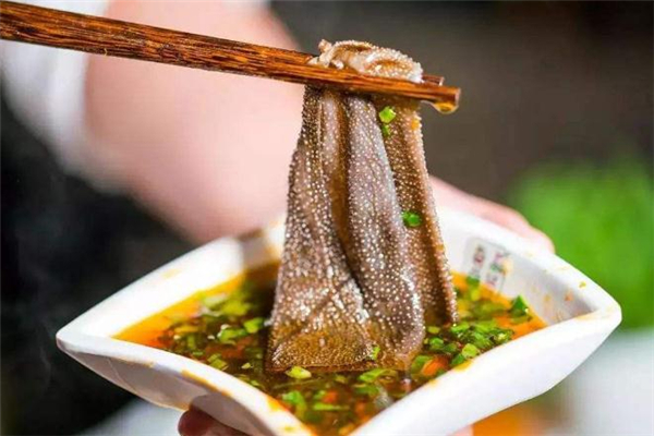 牛百叶是什么动物身上的,牛肚是什么动物身上的什么部位