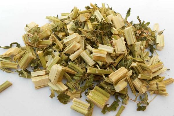 益母草可以治疗宫寒吗?,宫寒能吃益母草吗