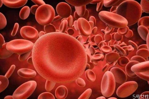 什么是地中海贫血呢?,啥是地中海贫血