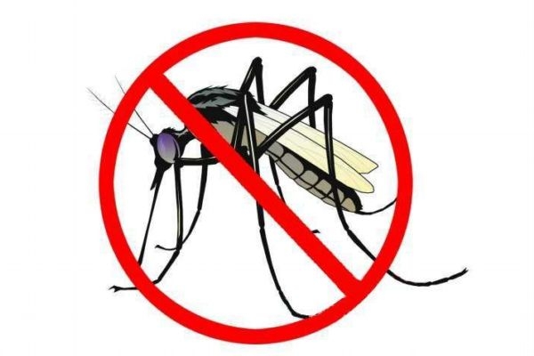 什么叫登革热,登革热是啥