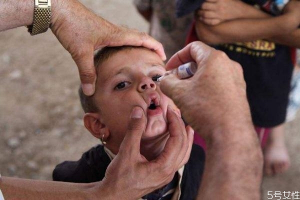 脊髓灰质炎是怎么引起的,脊髓灰质炎由什么引起