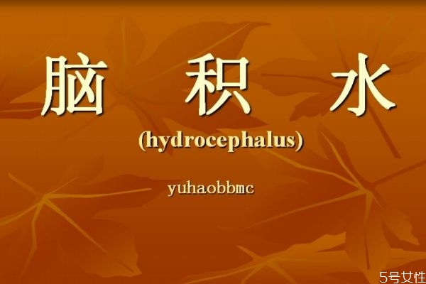 什么叫脑积水?,脑积水是怎么引起的吗?