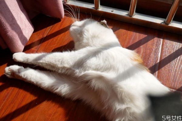 晒太阳有什么好处吗?,晒太阳有啥好处