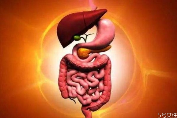 什么叫肠痉挛,肠痉挛一般是怎么引起的