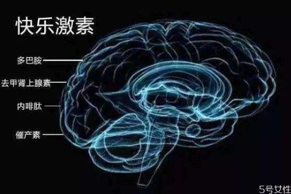 什么是多巴胺呢?,啥是多巴胺