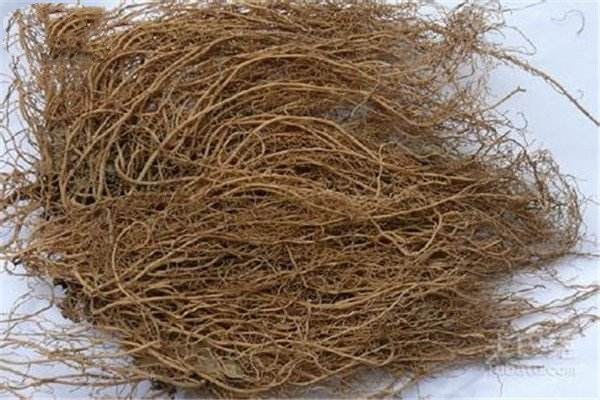 细辛是什么药,细辛是什么样子图片