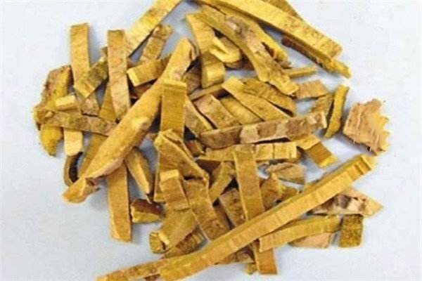 黄柏主治什么病,黄柏的功效和作用主要治什么病
