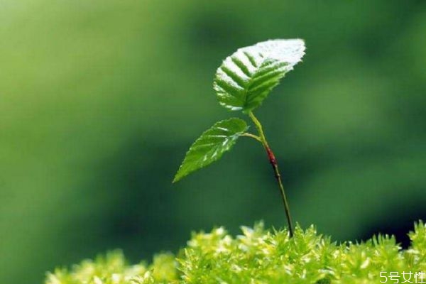 湿疹是什么原因形成的,湿疹的形成原因及表现