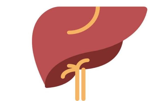 甲型肝炎治疗方法,甲型肝炎可以治好吗