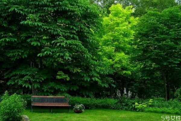 什么对眼睛伤害最大,会伤害眼睛