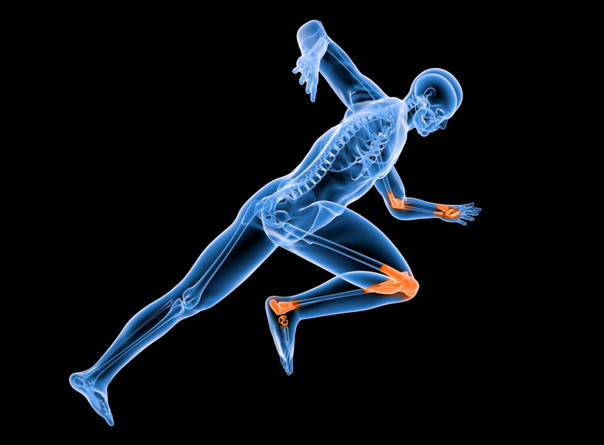 什么叫氨糖软骨素,氨糖软骨素的成分是什么 什么叫氨糖软骨素,氨糖软骨素的成分是什么