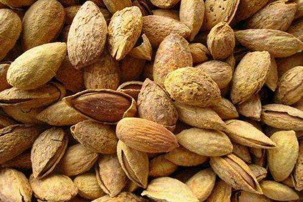 宝宝可以吃巴坦木吗,宝宝能吃巴坦木吗