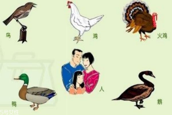 禽流感是一种什么病,禽流感是什么引起的