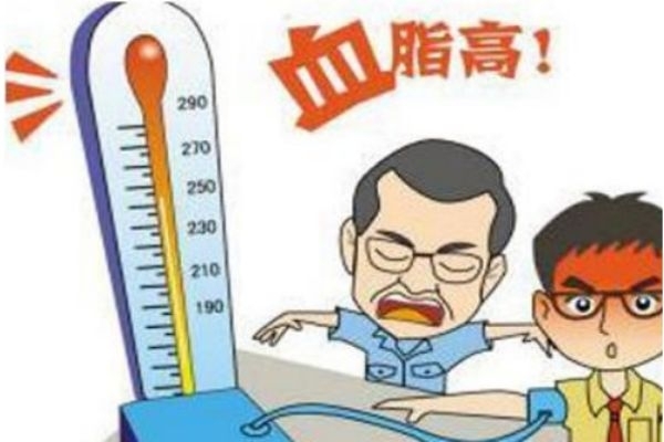 什么是高血脂,高血脂有哪些危害,什么造成血脂高 什么是高血脂,高血脂有哪些危害,什么造成血脂高