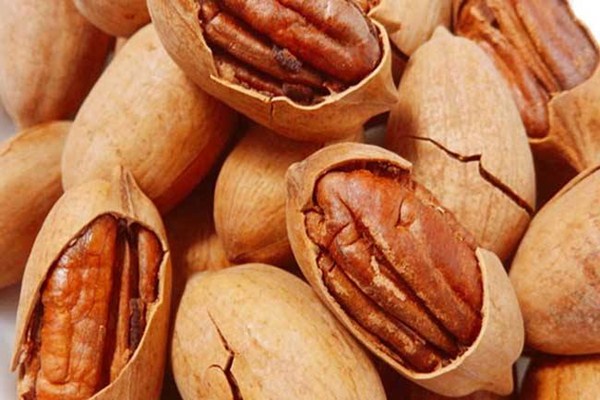 碧根果什么样的好,碧根果有几个品种 碧根果什么样的好,碧根果有几个品种