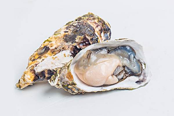 生蚝带壳蒸好还是不带壳蒸好,生蚝要带壳蒸吗