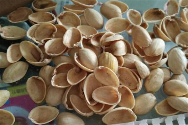 开心果壳是什么垃圾分类,开心果壳是什么垃圾