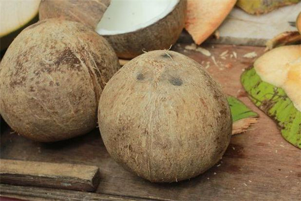 椰子壳是什么垃圾分类,榴莲壳和椰子壳是什么垃圾