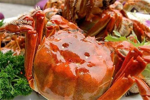 螃蟹壳属于什么垃圾分类,上海螃蟹壳属于什么垃圾