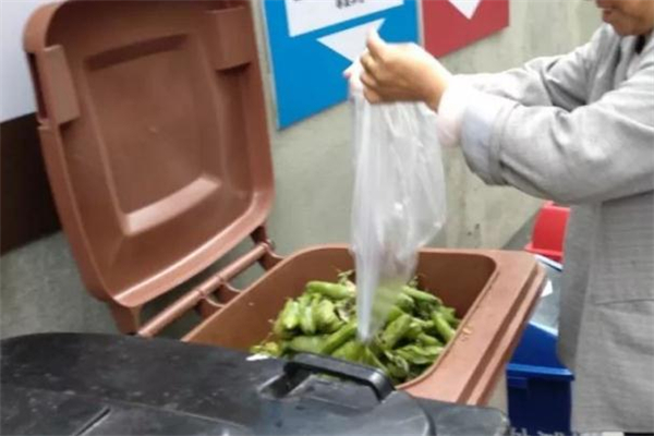 湿垃圾破袋什么意思,湿垃圾袋子无需破袋