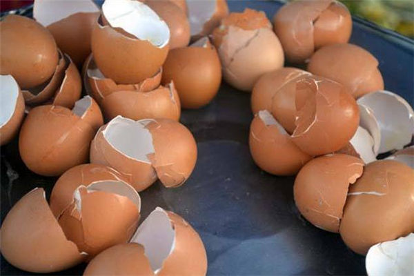 鸡蛋壳属于什么垃圾分类,鸡蛋壳属于什么垃圾? 鸡蛋壳属于什么垃圾分类,鸡蛋壳属于什么垃圾?