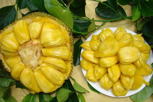 菠萝蜜丝可以冻起来吗,菠萝蜜能冻起来吗 菠萝蜜丝可以冻起来吗,菠萝蜜能冻起来吗