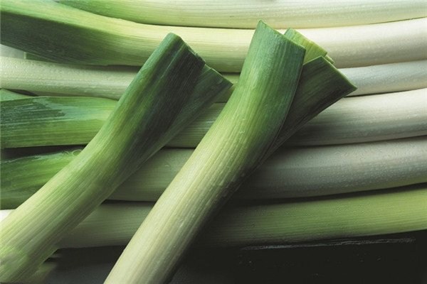 大葱发芽了还能吃吗,大葱长了芽还能吃吗