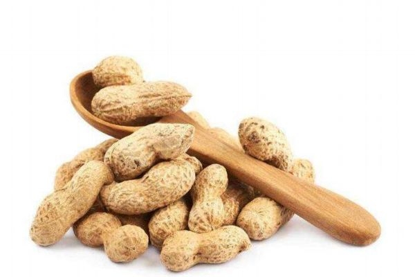 花生有啥营养价值,花生的营养和价值