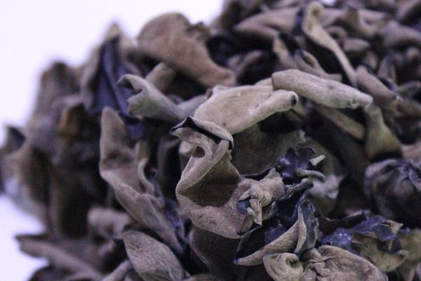 怎样泡发木耳又软又快,快速发木耳的方法妙招 怎样泡发木耳又软又快,快速发木耳的方法妙招