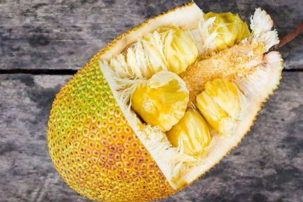 冬天菠萝蜜怎么催熟快,冬天菠萝蜜怎么催熟冬天催熟3个小妙招