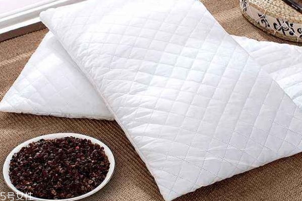 记忆棉枕头好还是荞麦枕头好,荞麦枕好吗