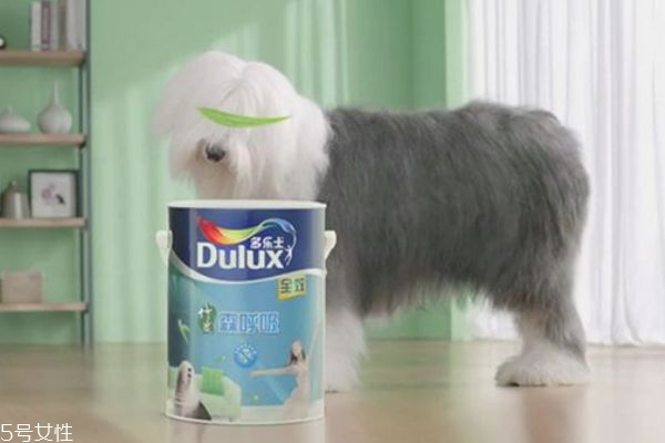 室内乳胶漆哪个品牌好,乳胶漆什么牌子好环保