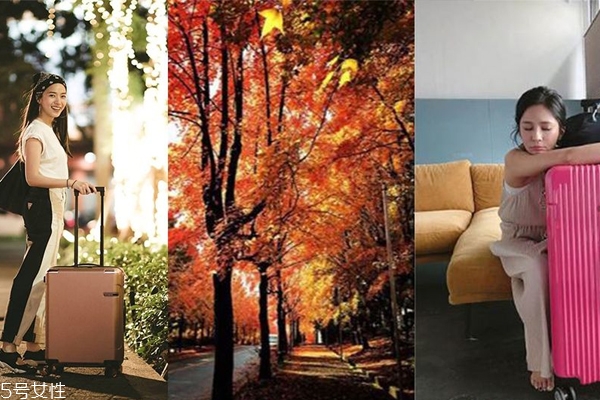 秋天去哪里旅游比较好国内,秋天去哪里旅游最好的选择 国内