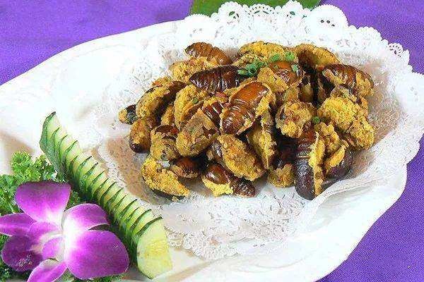 蝉蛹冻了还能吃吗,蝉蛹可以冷冻储藏吗