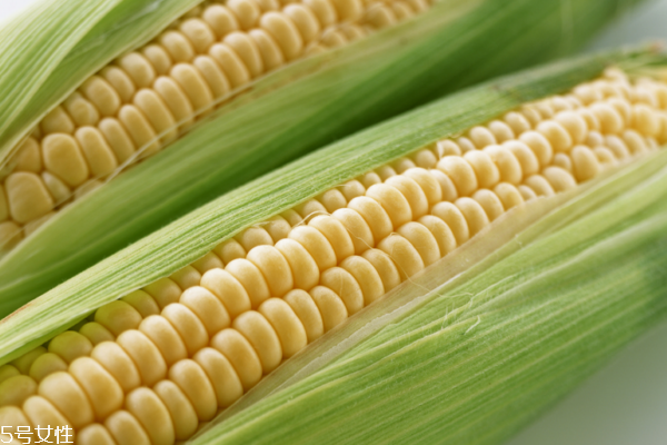 玉米为什么长胡须呢,玉米为什么长胡须课程故事