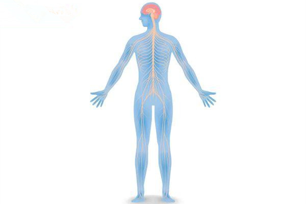 什么是自律神经失调什么是自律神经失调调证,什么是自律神经失调症状