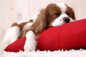 睡着身体突然抖一下的原因,睡觉时身体突然抖一下的原因 睡着身体突然抖一下的原因,睡觉时身体突然抖一下的原因