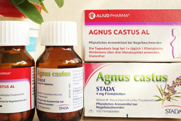 孕妇可以吃圣洁莓吗,吃圣洁莓怀孕了能要吗