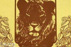 德国辣椒膏药好用吗,德国辣椒膏最好哪一个