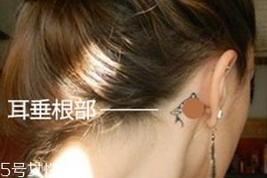 晕车贴贴哪里效果最好?图片,晕车贴贴哪里效果最好?