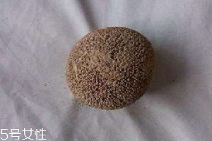 驴宝多少钱一克2020,驴宝多少钱一克